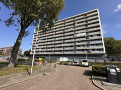 IMG_6124.jpg