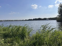 IMG_6126.jpg
