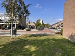 IMG_6131.jpg