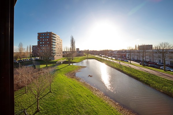 Medium property photo - Watervogelstraat 296, 2492 PX The Hague