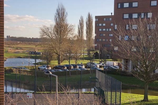 Medium property photo - Watervogelstraat 296, 2492 PX The Hague