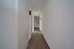 Bergermeerstraat_99_20250505_12.jpg