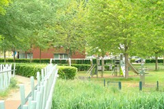 Bergermeerstraat_99_20250505_35.jpg