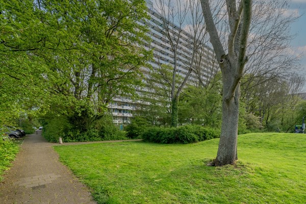 Medium property photo - Menno Ter Braaklaan 183, 2624 TD Delft