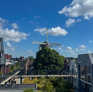 IMG_9143.jpg