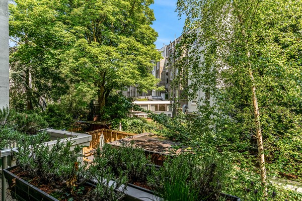 Medium property photo - Tweede Kostverlorenkade 155-1, 1053 SH Amsterdam