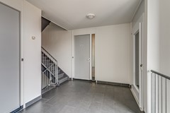 06.jpg