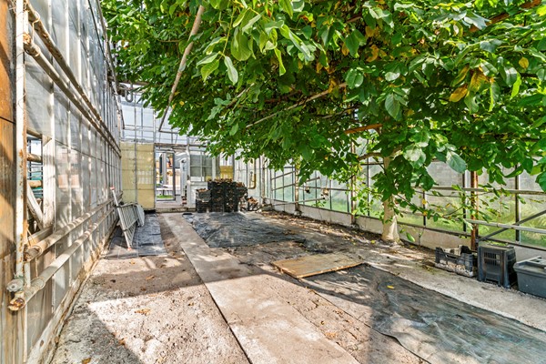 Te koop: Uiterweg 58, 1431 AP Aalsmeer 56.jpg