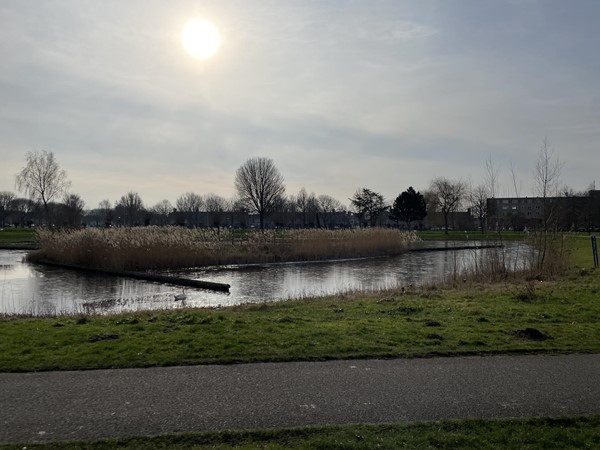 Medium property photo - Europapark, 2408 EN Alphen aan den Rijn