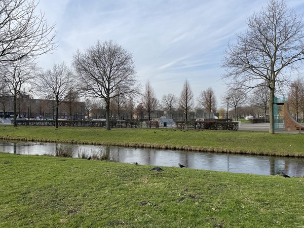 Medium property photo - Europapark, 2408 EN Alphen aan den Rijn