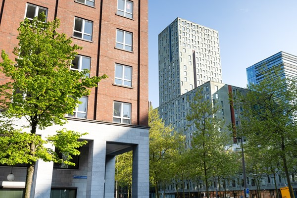 Medium property photo - Laan op Zuid 242, 3071 AA Rotterdam