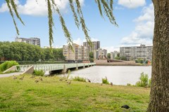 Rented: Vignolastraat 103, 3066 AR Rotterdam