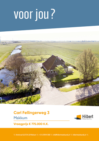 Brochure preview - Carl Fellingerweg 3, 8754 JB MAKKUM (1)