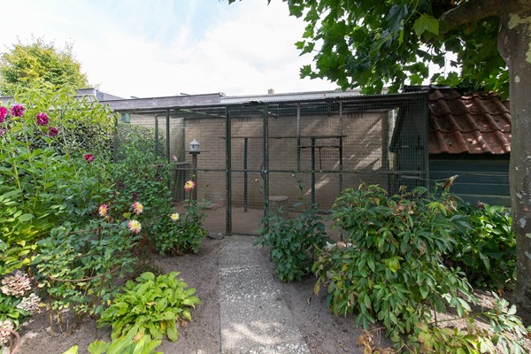 Medium property photo - Prinses Irenestraat 23, 6611 BG Overasselt