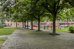 New for sale: Padangstraat 8, 2022 RR Haarlem