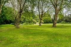 Beatrixpark_03.jpg