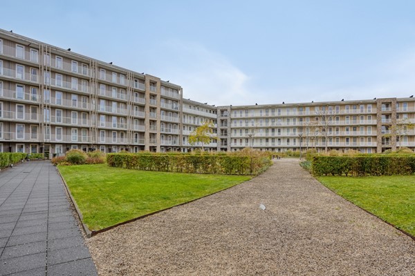 Medium property photo - Nida Senffstraat 153, 1095 MX Amsterdam