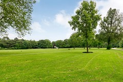 New for sale: Parnassusweg 15-3, 1077 DB Amsterdam
