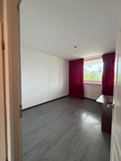 afbeelding 5.jpg