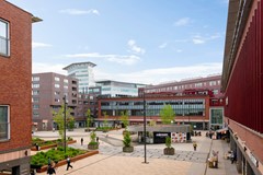 Bos en Lommerplein 46-31.JPG
