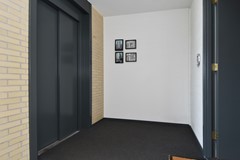 Klaproosveld 9 7.JPG