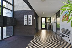 Klaproosveld 9 5.JPG