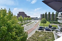 Klaproosveld 9 25.JPG