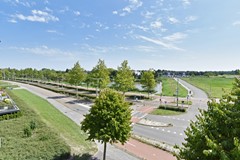 Klaproosveld 9 26.JPG