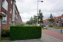 DSC00744.JPG