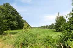 Tsjerkebuorren119286EZTwijzel-30.jpg