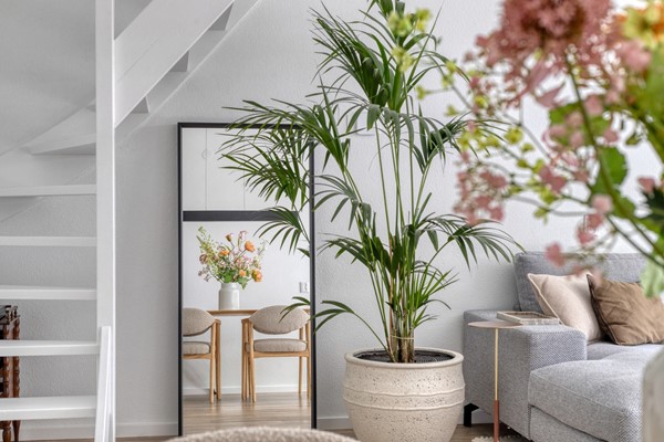 Medium property photo - Winterakoniet 43, 8935 JN Leeuwarden