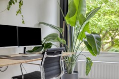 Winterakoniet438935JNLeeuwarden-35.jpg