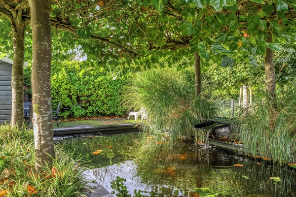 Medium property photo - Frisia 24, 8801 PP Franeker