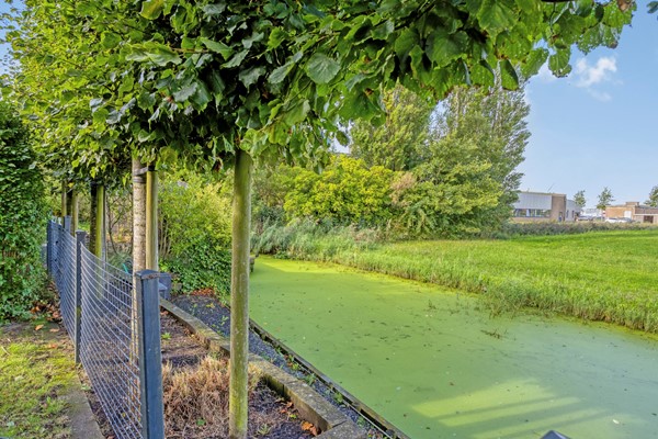 Medium property photo - Frisia 24, 8801 PP Franeker