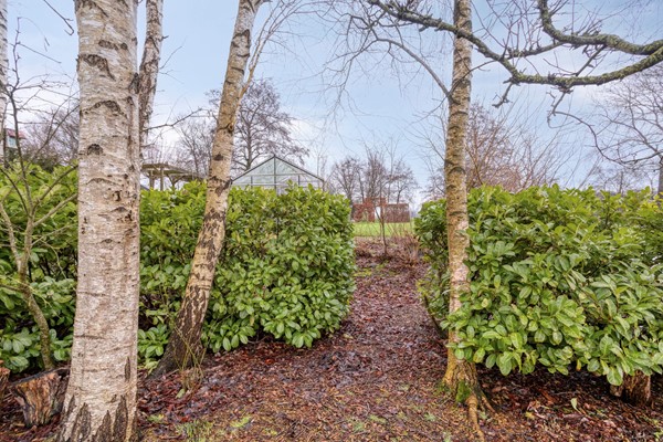 Medium property photo - Suderein 18, 9255 LB Tytsjerk