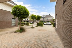 Het Zool 11_13.jpg