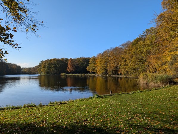 Medium property photo - Spaarwaterhof 24, 2593 RS The Hague