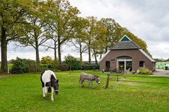 Schoneveldsdijk_18_Barchem_foto-5.jpg