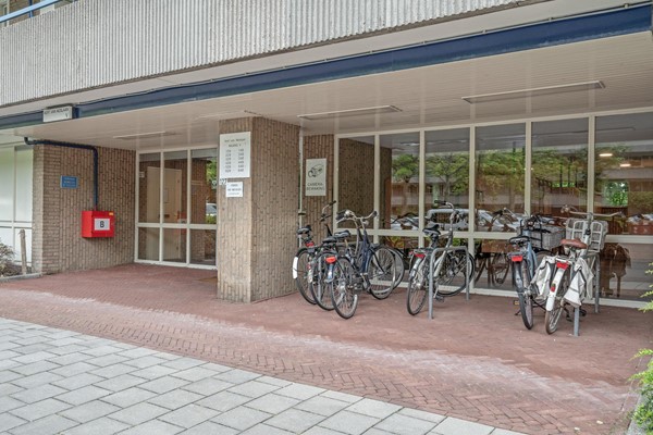 Medium property photo - Aert van Neslaan 243, 2341 HL Oegstgeest