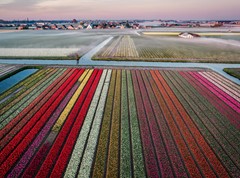 Nieuw in verkoop: Ringvaartzijde 15, 2161 WT Lisse