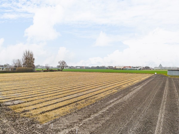 Medium property photo - Torenlaan 11, 2215 RW Voorhout