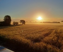Nieuw in verkoop: Torenlaan 11, 2215 RW Voorhout