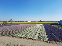 Nieuw in verkoop: Torenlaan 11, 2215 RW Voorhout