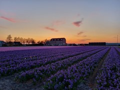 Nieuw in verkoop: Torenlaan 11, 2215 RW Voorhout