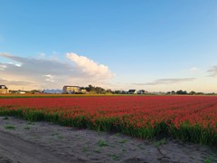 Nieuw in verkoop: Torenlaan 11, 2215 RW Voorhout
