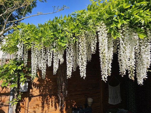 Medium property photo - Laurierhof 35, 2215 VN Voorhout