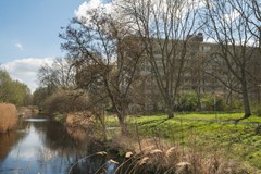 Verkocht: Isabellaland 1426, 2591 EE Den Haag