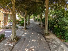 Verkocht: W. Warnaarlaan 66, 2172 JA Sassenheim