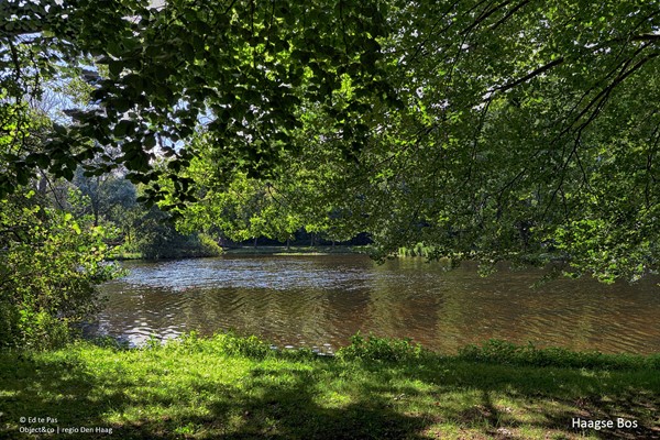 Medium property photo - Ursulaland 85, 2591 GV Den Haag