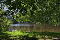theresiastraat-349-27.jpg
